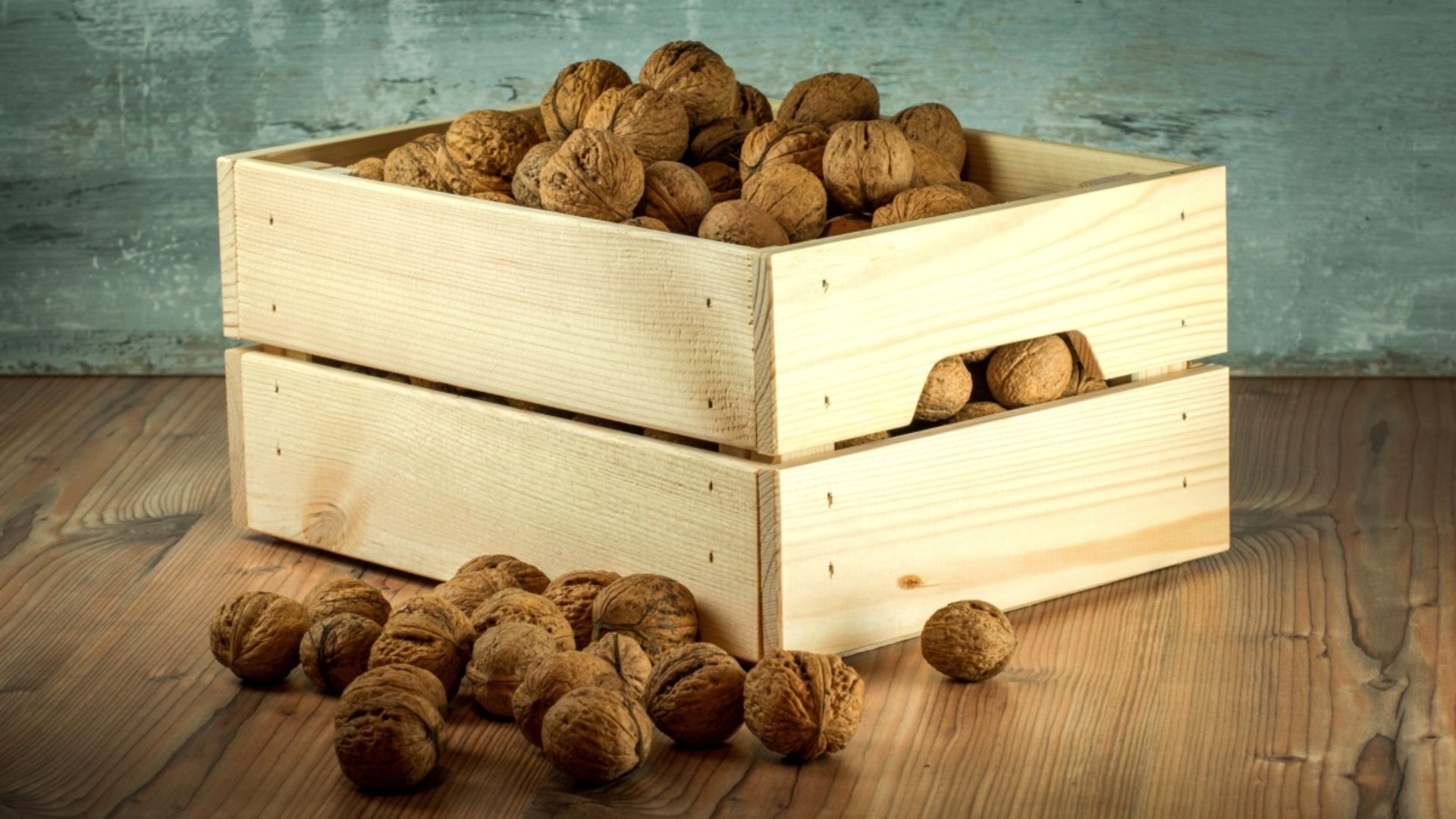 walnut.jpg